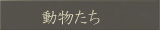 動物たち